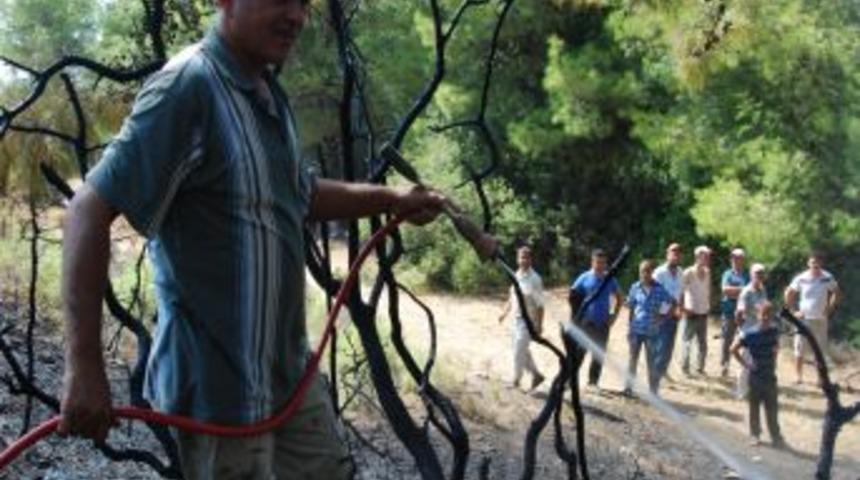Fethiye'de Orman Yangını