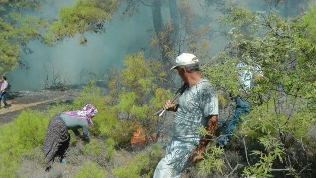 K&ouml;yl&uuml;ler Yanan Arazileri İ&ccedil;in Seferber Oldu