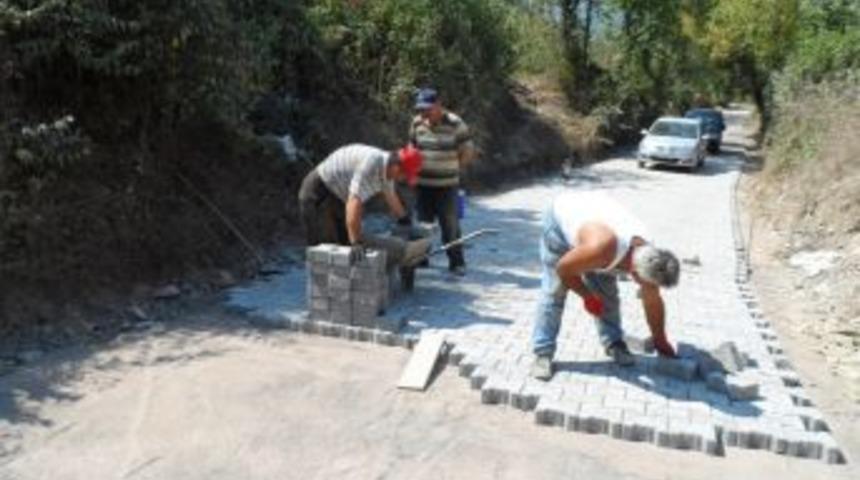 &Uuml;&ccedil; g&uuml;nde parke d&ouml;şetti