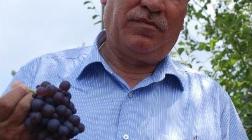 Ak Parti'li Bozkurt Silifke&rsquo;nin K&ouml;ylerini Gezdi