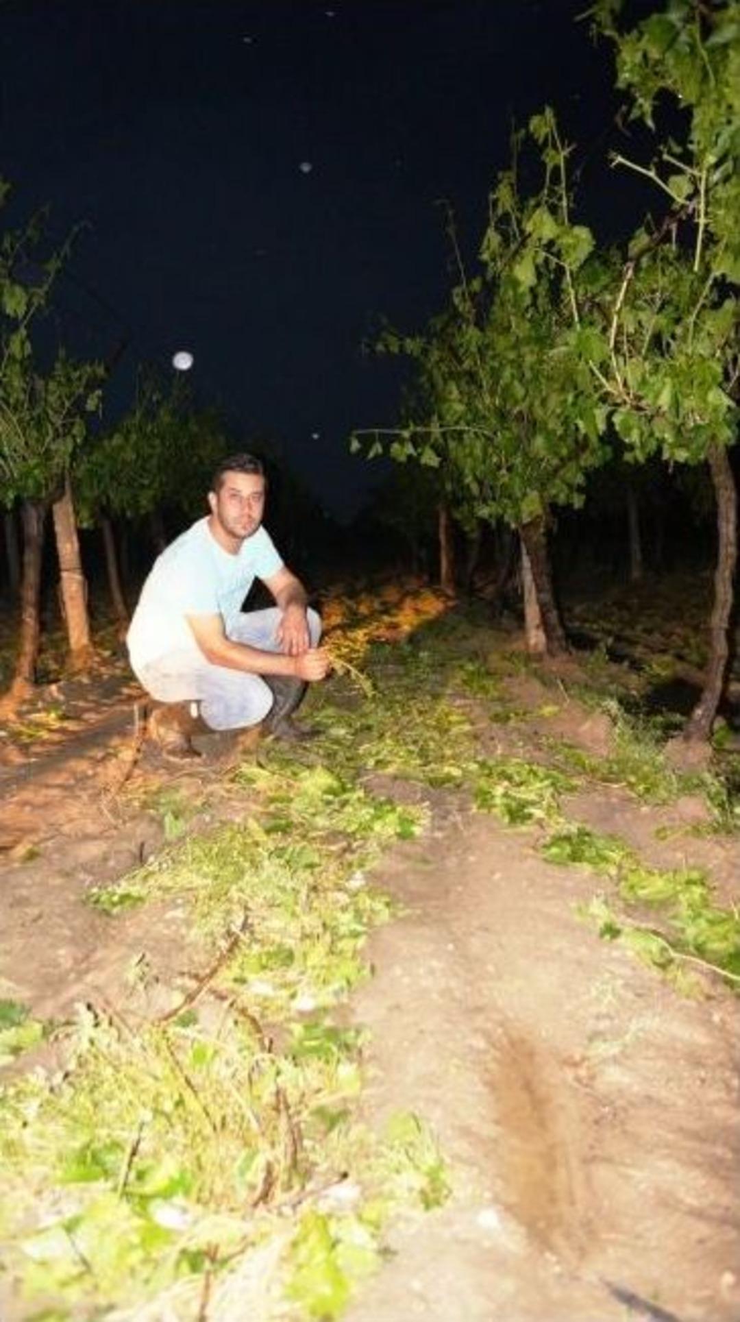 Manisa'daki Dolu Ve Don Zararı &Ouml;demeleri Ekim -kasım'da