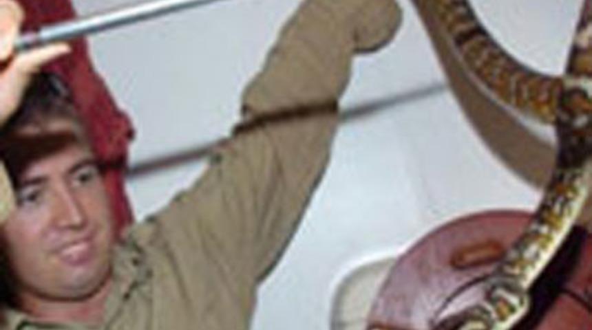 Belediye, s&ouml;zleşmeli yılan yakalayıcısı arıyor