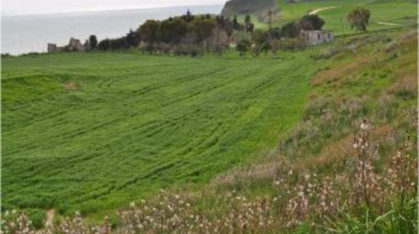 Magarsus&rsquo;ta Kazı &Ccedil;alışmalar Başlıyor