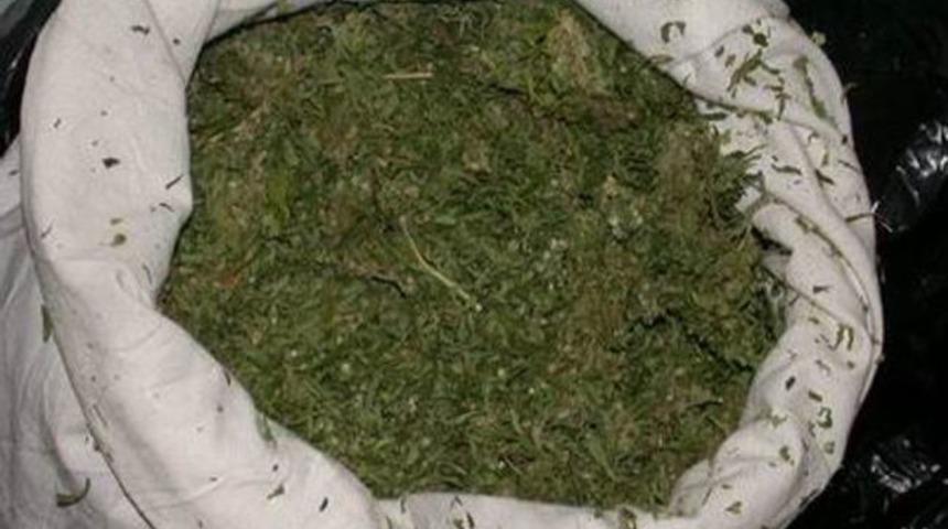 Ödemiş'te Jandarmadan Zehire Geçit Yok