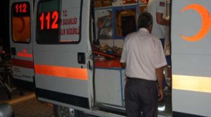 Ağa&ccedil;tan D&uuml;şen Kadın Ağır Yaralandı