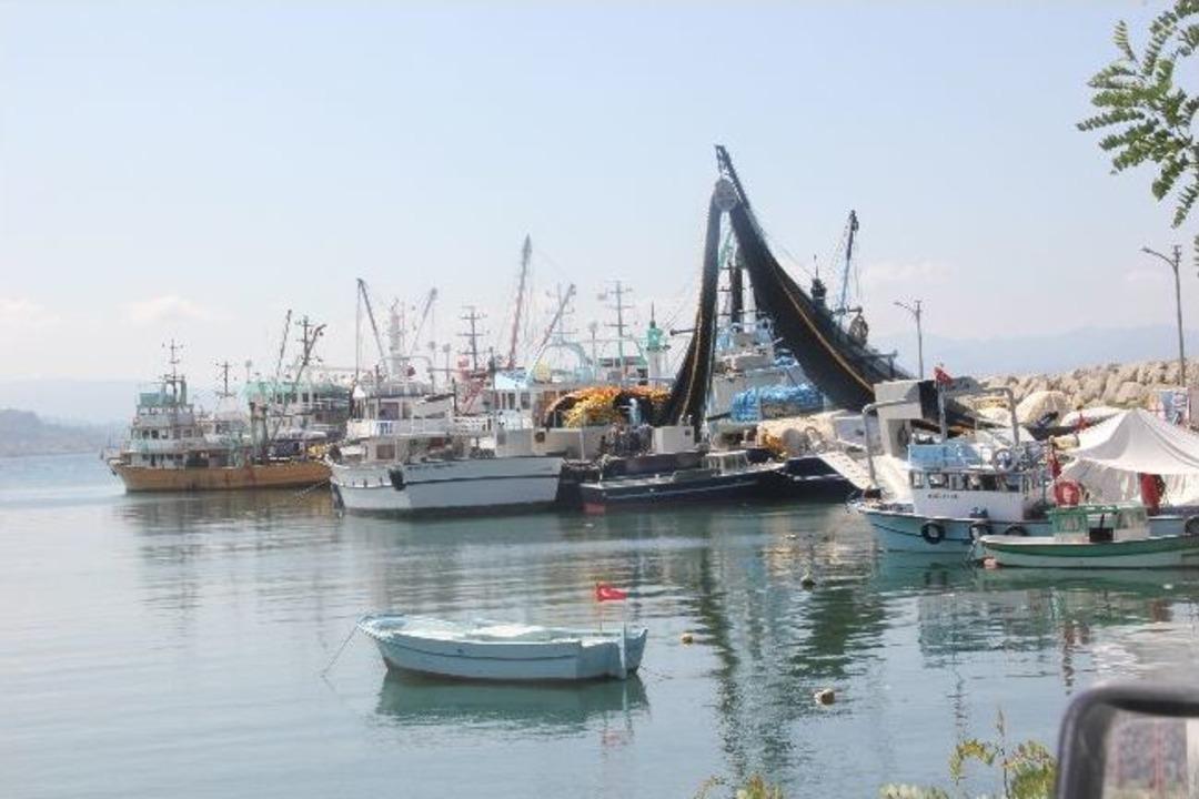 Balık Sezonu Başlıyor