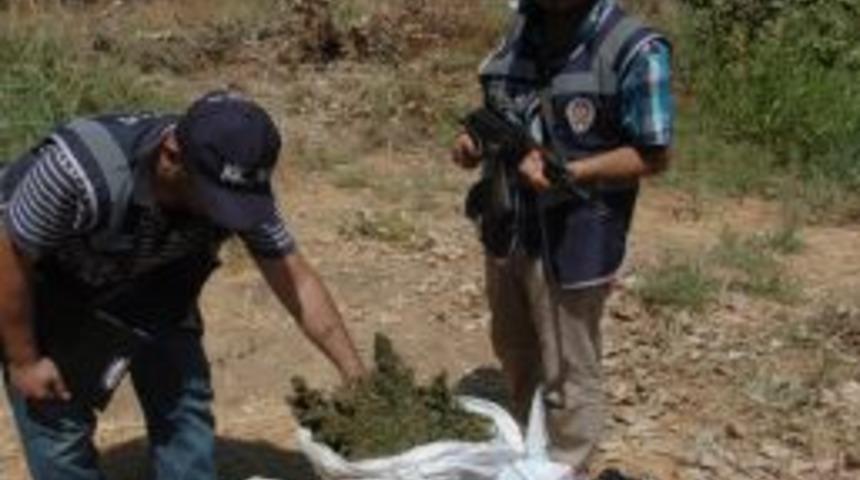 İki Ay &Ouml;nce Operasyon Yapılan Uyuşturucu Arazilerine Yine Şok Baskın
