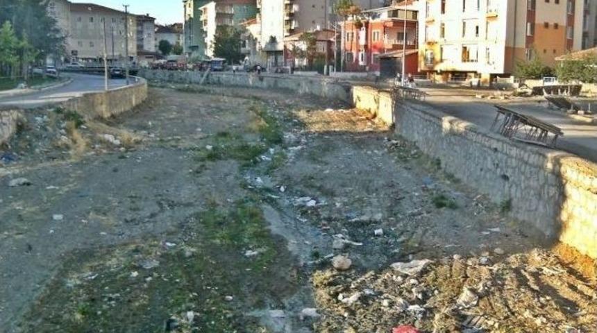 Diğ &Ccedil;ayı Kenarına Atılan &Ccedil;&ouml;pler Tepki &Ccedil;ekiyor