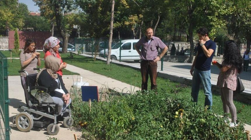 'Engelsiz Tarım'da Ilk Hasat Yapıldı