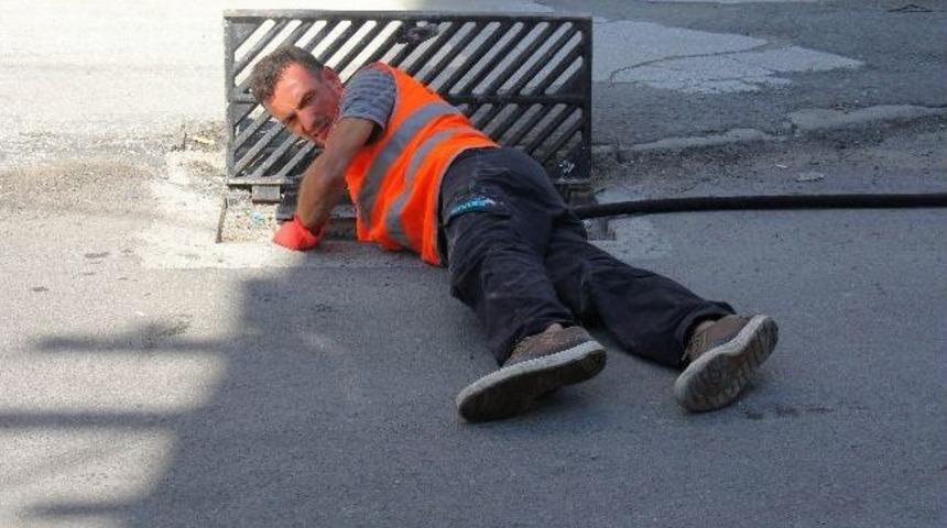 Samsun’da Kedi Kurtarma Operasyonu