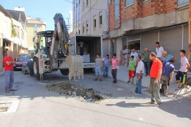 Samsun’da Kedi Kurtarma Operasyonu