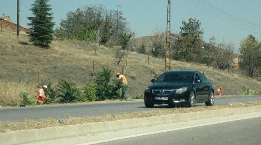 Karayolunda &Ccedil;evre Temizliği