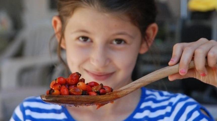 Kışa Kuşburnu Hazırlığı