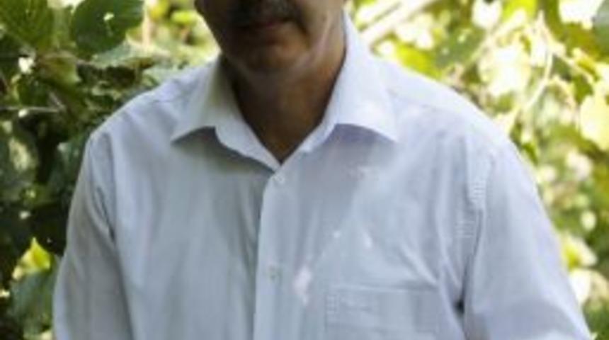 Karadeniz:"fındık Yok Olma Tehlikesi İle Karşı Karşıya"