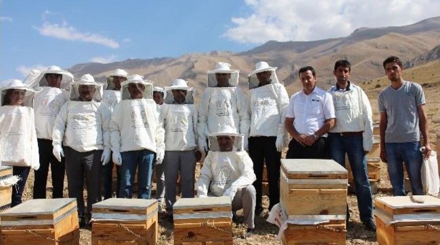 Gevaş’ta Bal Hasadı