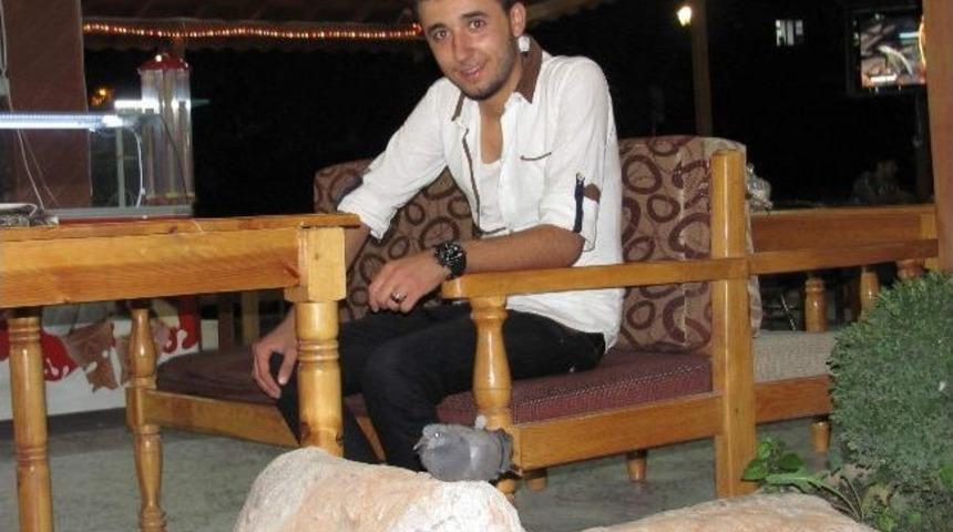 Kavurucu Sıcaklardan Etkilenen Kumru Kafeye Sığındı