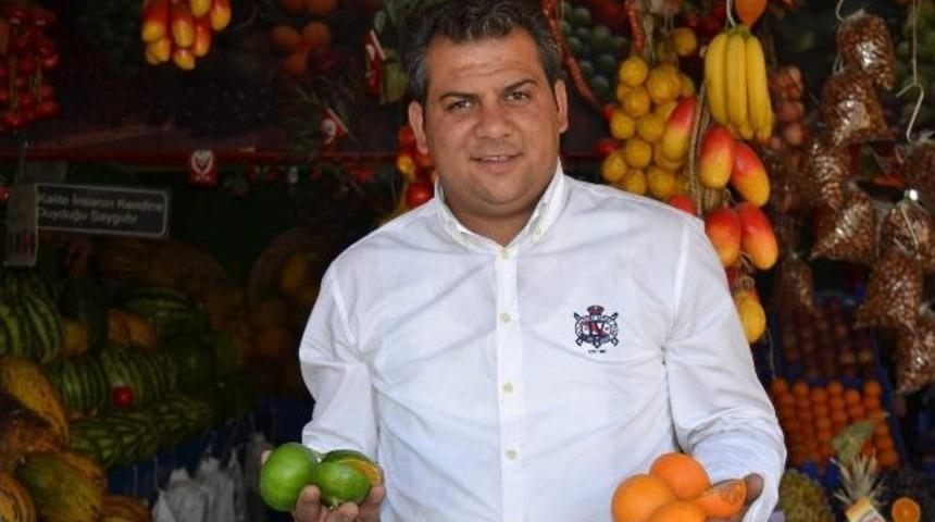 Kışlık Meyveler Tezgahlardaki Yerini Almaya Başladı