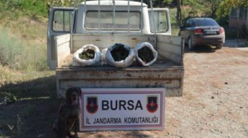 Seyir Halindeki Kamyonette 25 Kilo Esrar Ele Ge&ccedil;irildi