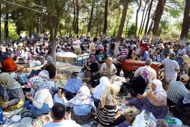 Karacasu Sanat Ve Festival Coşkusuna Hazırlanıyor