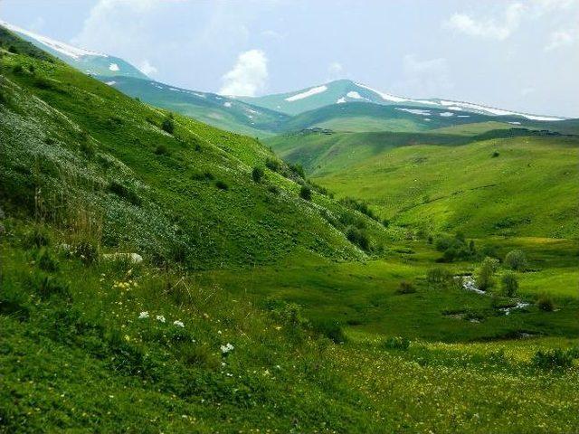 Posof’un Samanı Dışardan