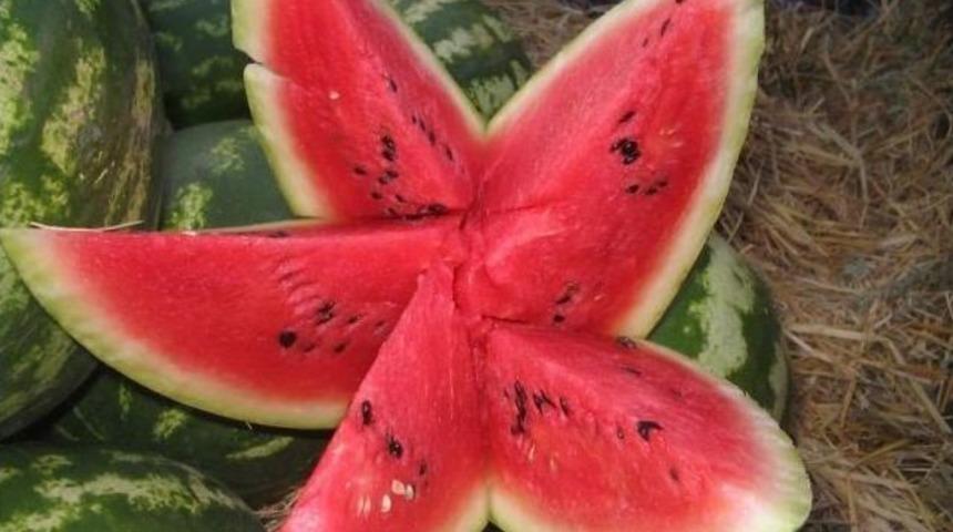 Bayburt&rsquo;ta Karpuz Ve Kavun Hasadı Y&uuml;z G&uuml;ld&uuml;r&uuml;yor