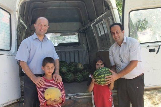 Bayburt’ta Karpuz Ve Kavun Hasadı Yüz Güldürüyor