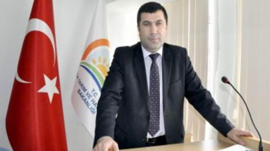 'Yasaklara Uyarak Bilin&ccedil;li Ve Dengeli Balık&ccedil;ılık Yapılmalı'