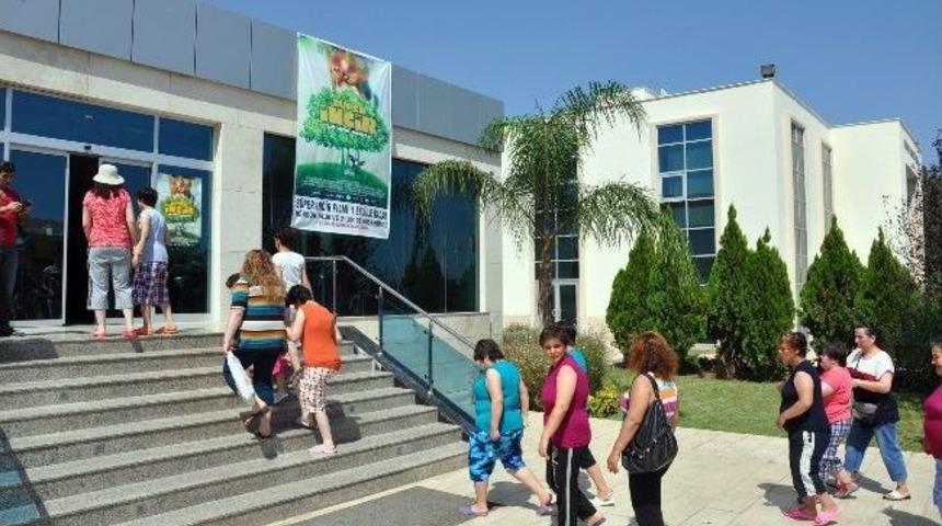 Didim&rsquo;de Engellilerin &lsquo;s&uuml;per İncir&rsquo; Keyfi