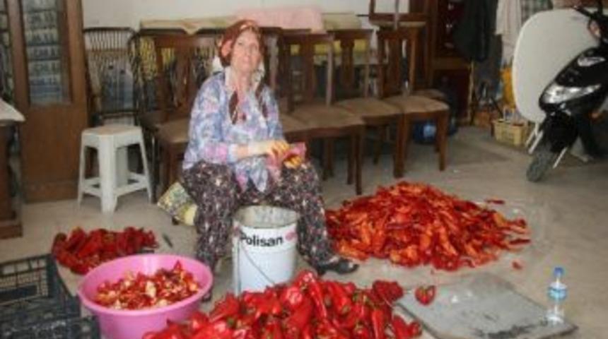 Biber Sal&ccedil;ası Geleneği