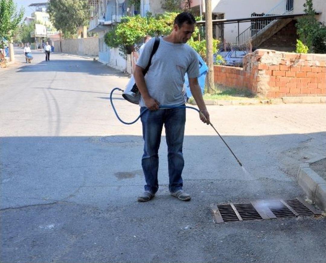 Nazilli'de İla&ccedil;lamalar Aralıksız S&uuml;r&uuml;yor