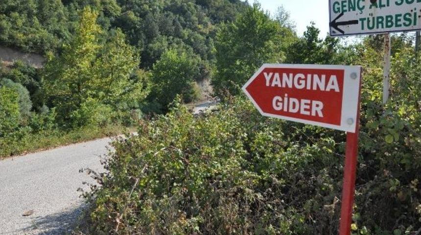 Orman Yangınları Arttı