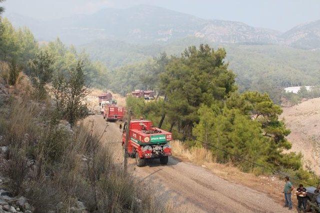 Kumluca’da Orman Yangını Kontrol Altına Alındı