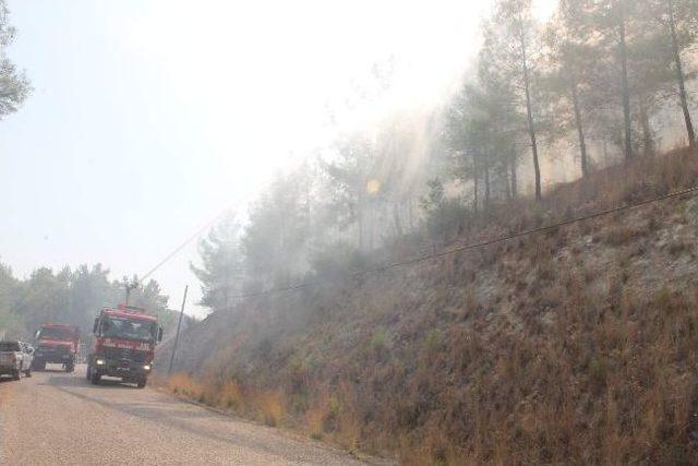 Kumluca’da Orman Yangını Kontrol Altına Alındı