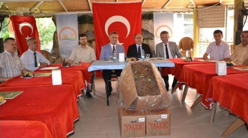 Manisa'da 222 Bin Adet &Ccedil;ilek Fidesi Dağıtıldı