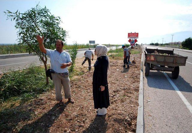 Kumluca Belediyesi Çevre Düzenleme Çalışması Yürütüyor