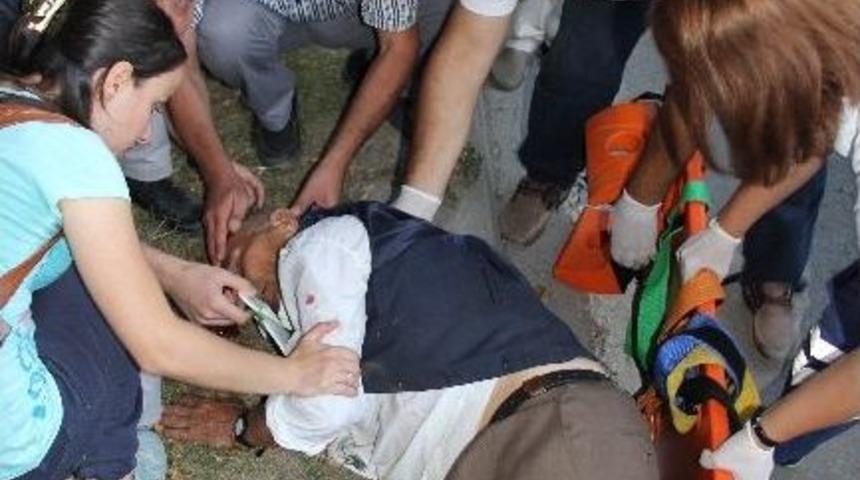 Otomobilin &Ccedil;arptığı Yaşlı Adam Ağır Yaralandı