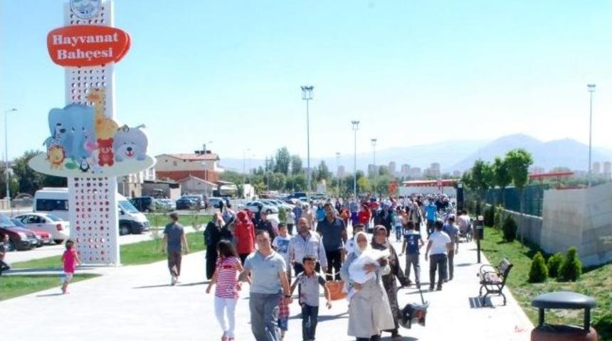 Harikalar Diyarı'na Tam Not