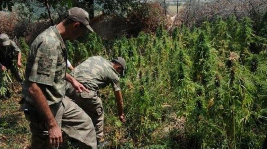 &Ouml;demiş Esrar Operasyonu