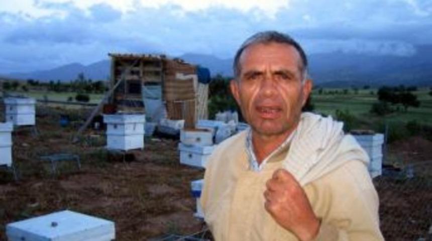 Seydişehir&rsquo;de Teşvik İ&ccedil;in Arılar Yerinde Tespit Ediliyor