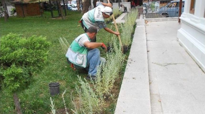 İzmit Cumhuriyet Parkı Bakımdan Ge&ccedil;ti