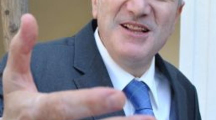 Amasya'da Eşek Arısı Artışı