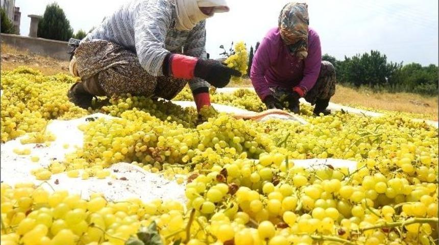 Sarıg&ouml;l Ziraat Odası Başkanı &Uuml;lgen:&rsquo;