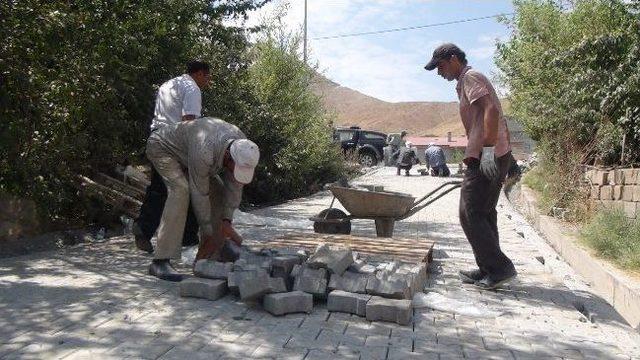 Başkan Yardımcısı Çinik Yol Çalışmalarını İnceledi