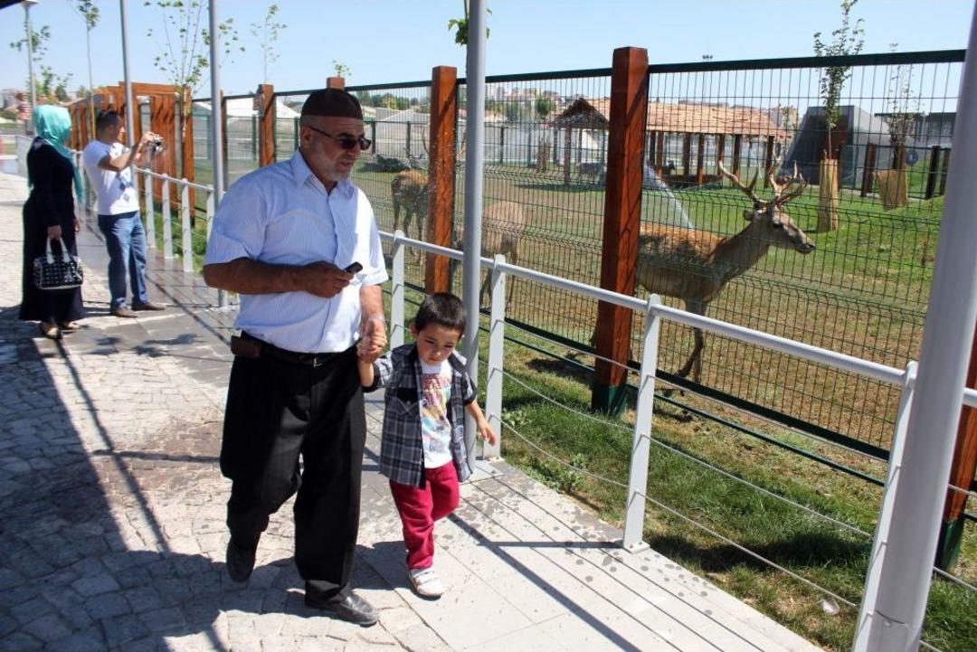 Sıcaktan Bunalan Hayvanlar Suyla Serinletiliyor