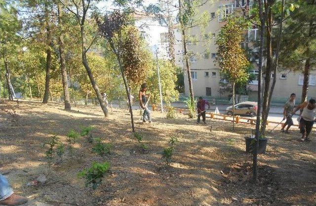 İzmit’in Prestij Projesi Ekopark’ta Son Çalışmalar Yapılıyor