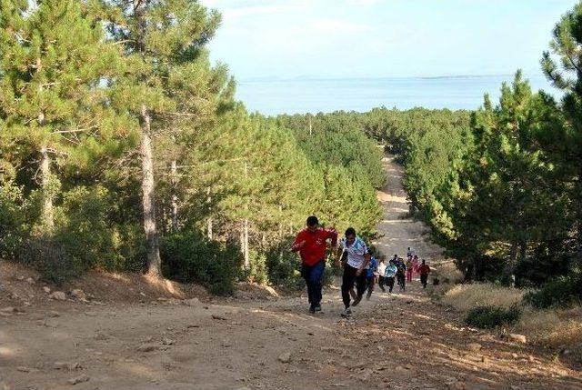 Beyşehirli Tekvandocular Türkiye’yi Avrupa Ve Balkanlarda Temsil Edecek