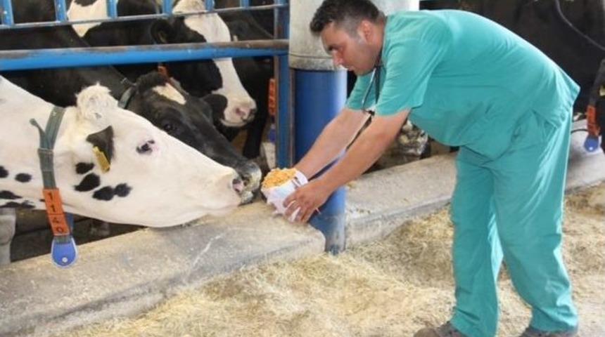 Konya Şeker&rsquo;den Besilere &Ouml;zel Mısır Gevreği