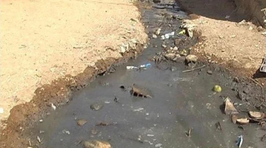 Yaslıca&rsquo;da Mikrop Kol Geziyor