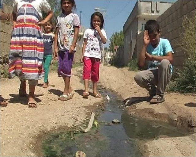 Yaslıca’da Mikrop Kol Geziyor