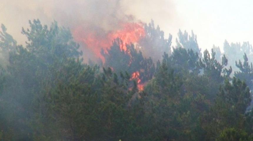Amasya&rsquo;da &Ccedil;ıkan Yangında 5 Hektar Orman K&uuml;l Oldu